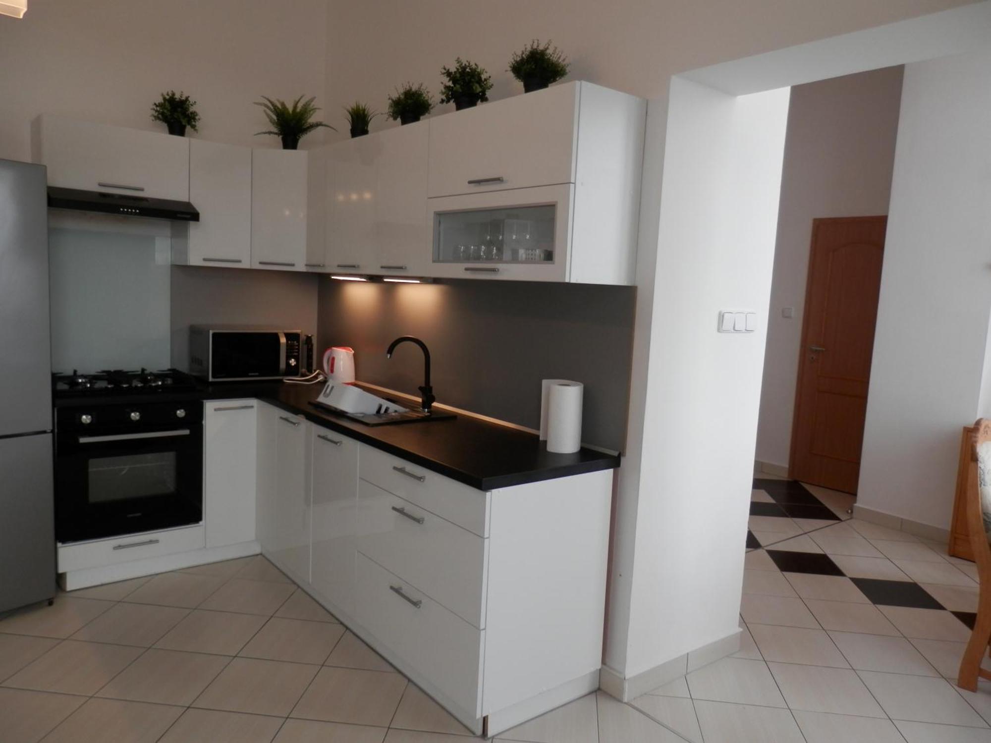 Spacious Apartment Below Spilberk Castle برنو المظهر الخارجي الصورة